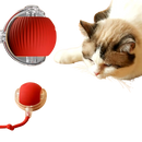 Bola Interativa para Gato