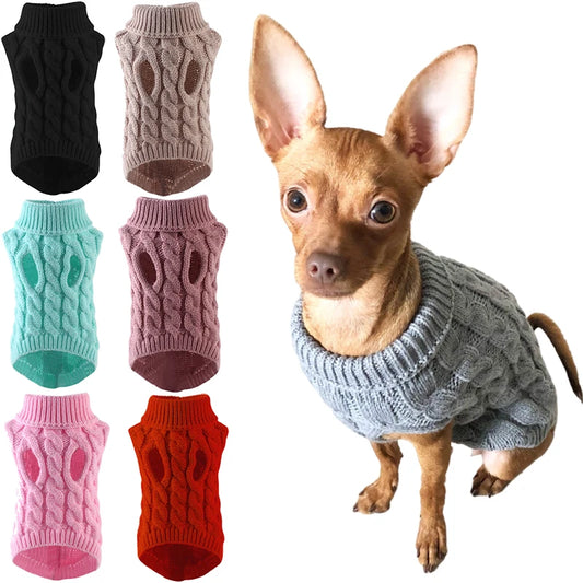 Jersey de invierno para perros y gatos.