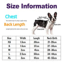 Coleira de Couro Personalizada