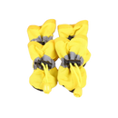 PawShield Botas de Chuva Impermeáveis para Pets