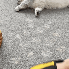 Luvas removedoras de pêlos™