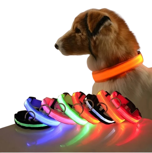 Collar de seguridad nocturno LED