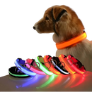 Coleira LED de Segurança Noturna